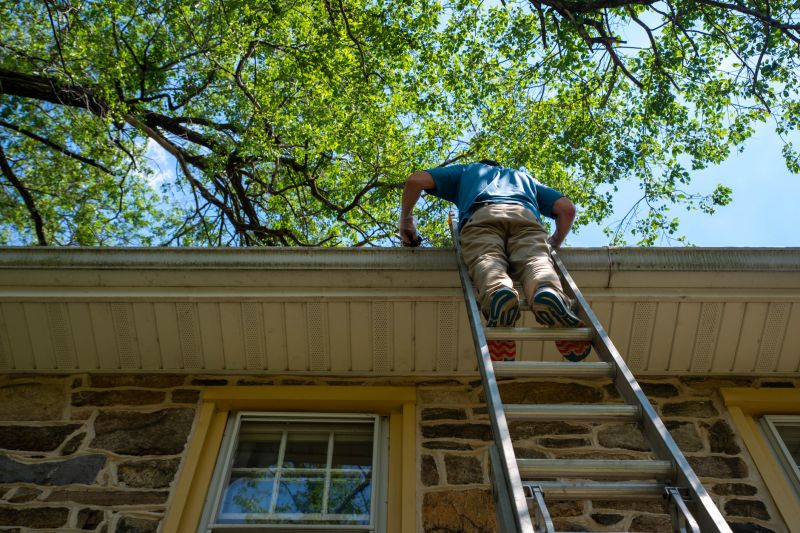 Ladder Access for Gutter Cleaning